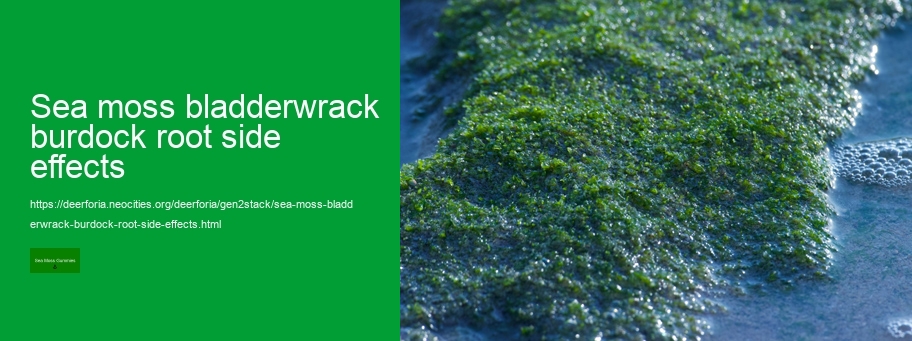 are sea moss gummies good for you